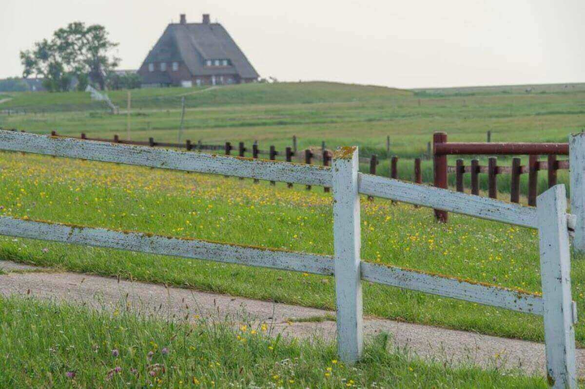  best type of fence