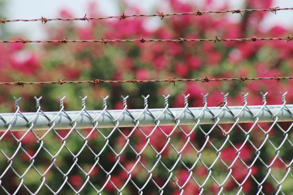 best type of fence