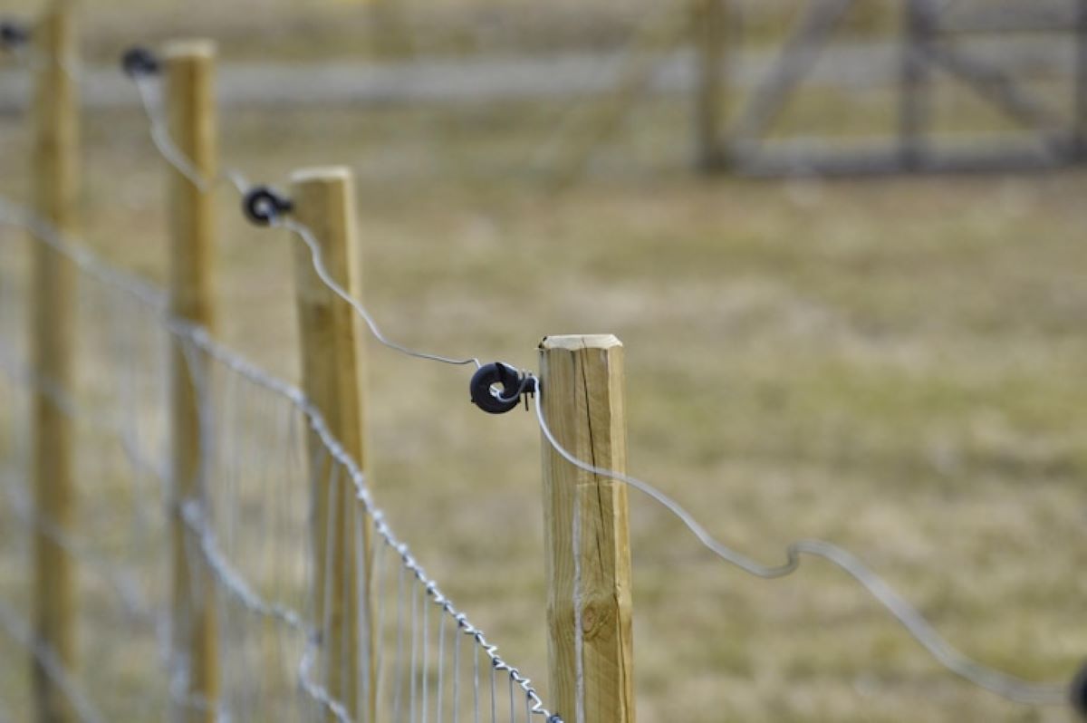  best type of fence