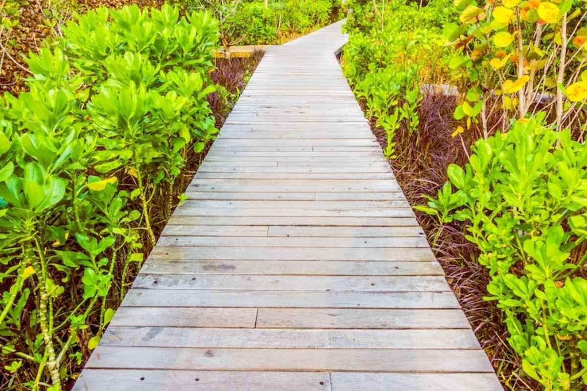 DIY garden path ideas