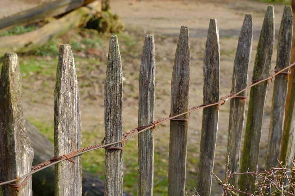 best type of fence