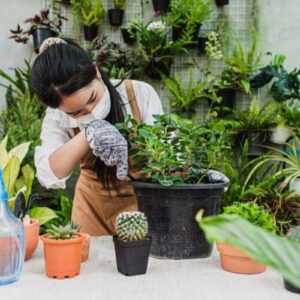 DIY home garden ideas (homeparadis.com)