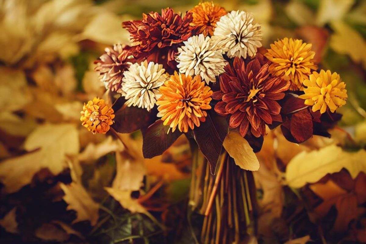 fall flowers (homeparadis.com)